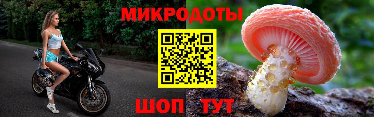 Псилоцибиновые грибы прущие грибы  Псилоцибиновые грибы мухоморы  Чайковский  Вход с VPN 