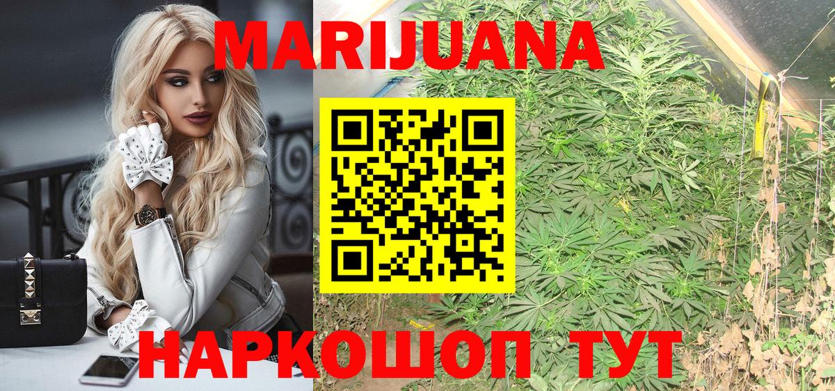 Марихуана гибрид Чайковский